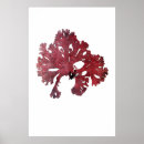 Recherche de vieux marins posters Nature