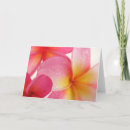 Zoek naar frangipani bloemen kaarten Geel