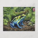 Recherche de grenouille bleue cartes postales Nature