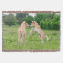 Recherche de élevage du cheval Pour elle