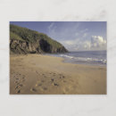 Recherche de atlantique cartes postales Sable