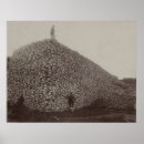 Recherche de tête crâne posters Animaux