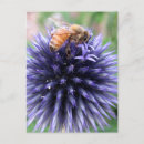 Recherche de globe cartes postales Fleur