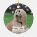 Recherche de afghan ornements Chien