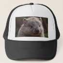 Recherche de joey casquettes Faune