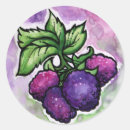Recherche de framboise autocollants Violet