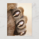 Recherche de corps ver posters Nature