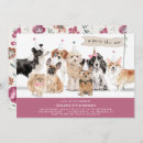Recherche de chien vintage invitations Aquarelle