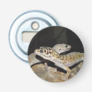 Recherche de lézard bar Zoo