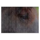 Recherche de oeil de cheval maison deco Photographie