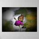 Recherche de pollinisateur art Nature