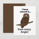 Recherche de citation spirituelle cartes postales Oiseau