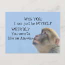 Recherche de monk cartes postales Singe