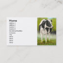 Recherche de vache holstein cartes visite Agriculture