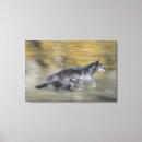 Recherche de mouvement art Extérieur
