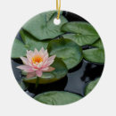 Zoek naar lotus flower ornamenten Waterlelie