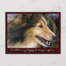 Zoek naar collie briefkaarten Liefde