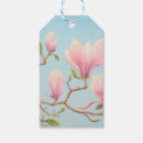 Recherche de bourgeons de magnolia Magnolias