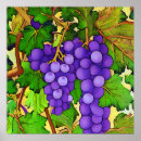 Recherche de fruit de la vigne posters Violet