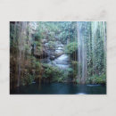 Recherche de oeuvres cartes postales Nature