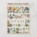 Recherche de fruit vintage cartes postales Plante