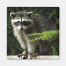 Recherche de écologie magnets Faune