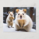 Recherche de noël australien cartes postales Xmas