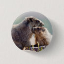 Recherche de marmotte badges Nature