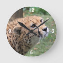 Recherche de yeux horloges Faune