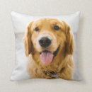 Zoek naar golden retriever kussens Gezelschapsdier