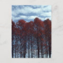 Recherche de verger cartes postales Bleu