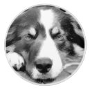 Recherche de chien blanc boutons et poignées de porte Dog