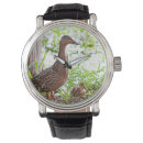 Recherche de canard montres Colvert