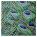 Zoek naar blauwe veren tegels Groen