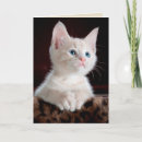 Recherche de angel vœux cartes Adorable