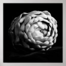 Zoek naar artisjok kunst Fotografie