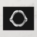 Recherche de prédateur cartes postales Grand requin blanc