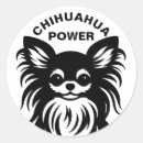 Recherche de poil autocollants Chihuahua