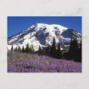 Recherche de alpinisme cartes postales Sommet