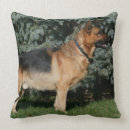 Recherche de deutscher photographie Chien