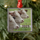 Recherche de le holstein ornements Noël