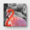 Recherche de rose noir plaques Noir et blanc