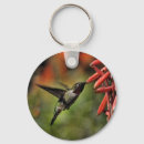 Recherche de colibris porteclés Toute personne