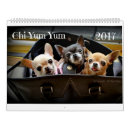 Recherche de yum Dog