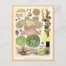 Recherche de barrière cartes postales Australie