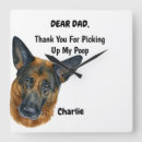 Recherche de shepherd horloges Alsacien