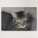 Recherche de yeux puzzles Félin