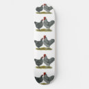 Recherche de poulets skateboards Coq