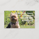 Recherche de dog visite photographie Animal