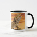 Recherche de dragon barbu tasses Coquilles